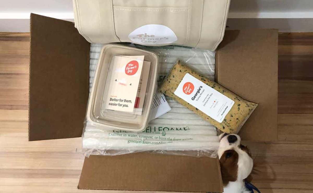 dog sniffing the farmer's dog box with food on top